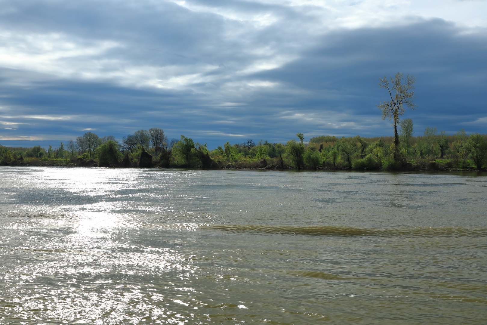 Donauufer nähe Belgrad