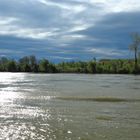 Donauufer nähe Belgrad