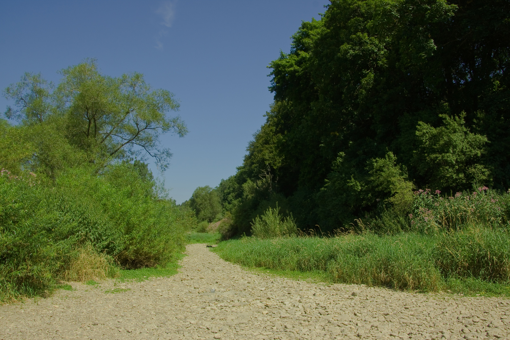 Donauversinkung 