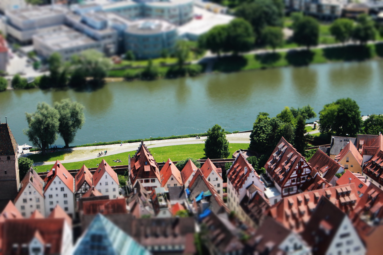 Donauwiese in Miniatur