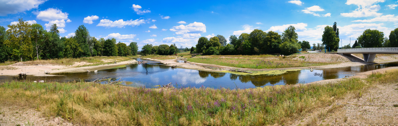 Donauzusammenfluss