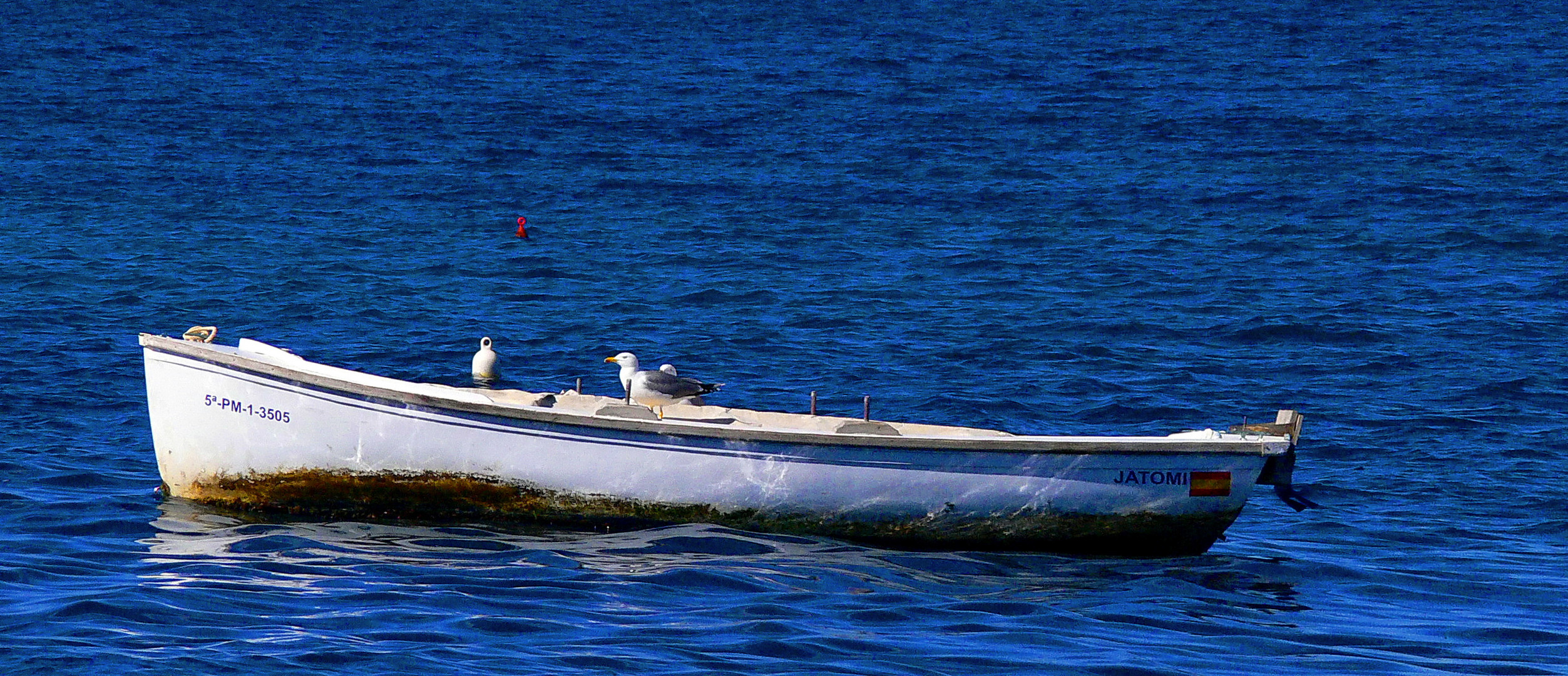 Dónde están los remos??? Venga, venga, yo también quiero remar!!!