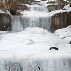 Dónde estás agua ?