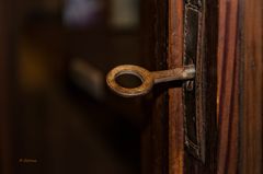 Donde habita el silencio