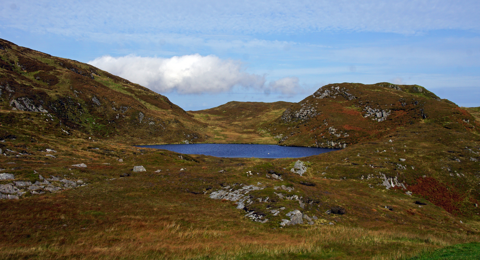 Donegal