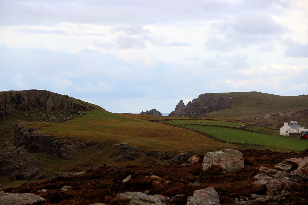 Donegal