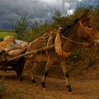 Dongchuan.