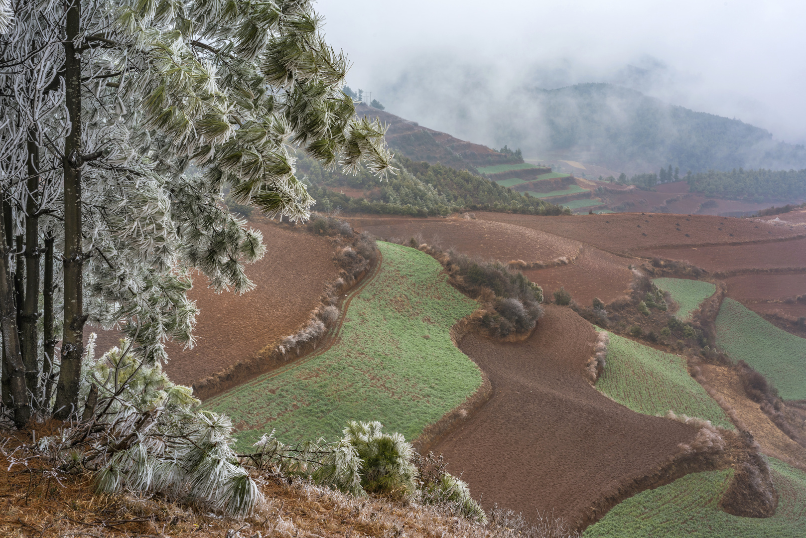 *Dongchuan @ Winter*