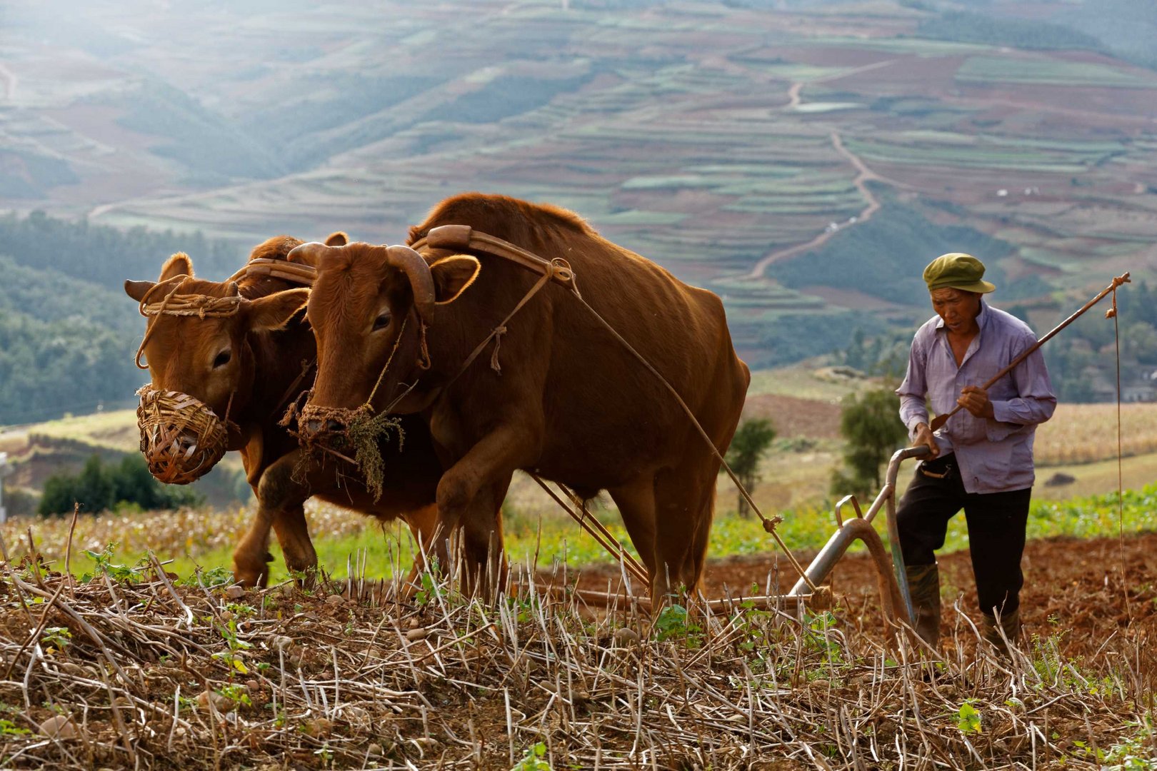 Dongchuan, Yunnan.