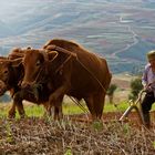 Dongchuan, Yunnan.