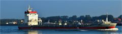 DONGEBORG / Cargo Vessel / Rotterdam