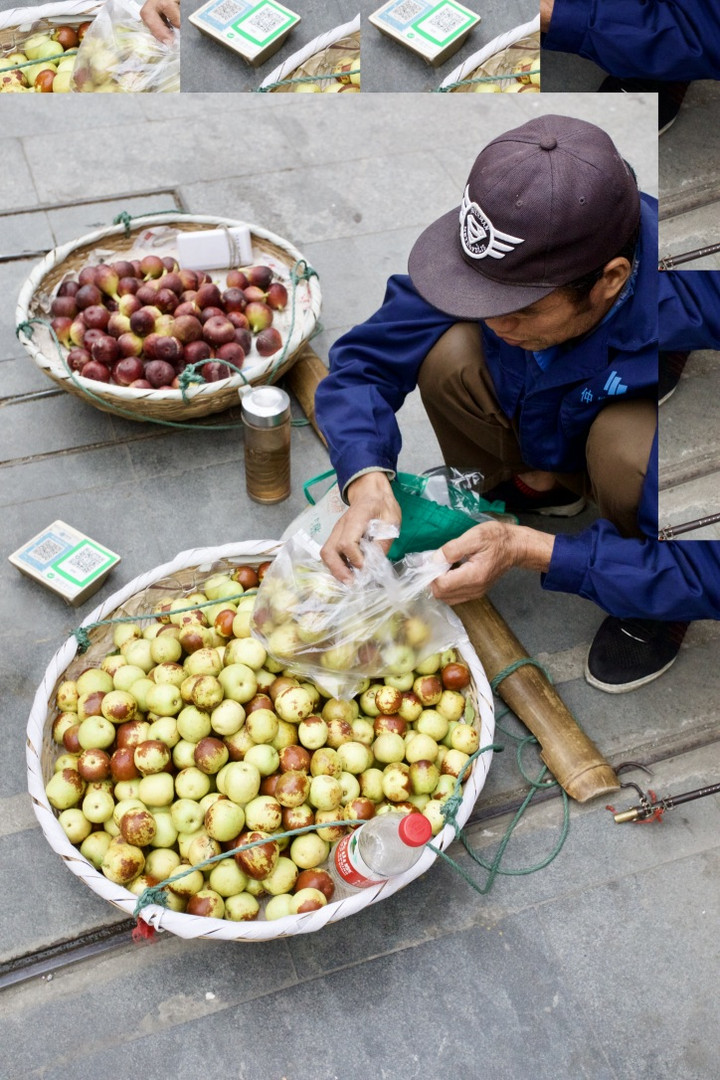 Dongzao Jujube - hinten Feigen