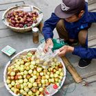 Dongzao Jujube - hinten Feigen