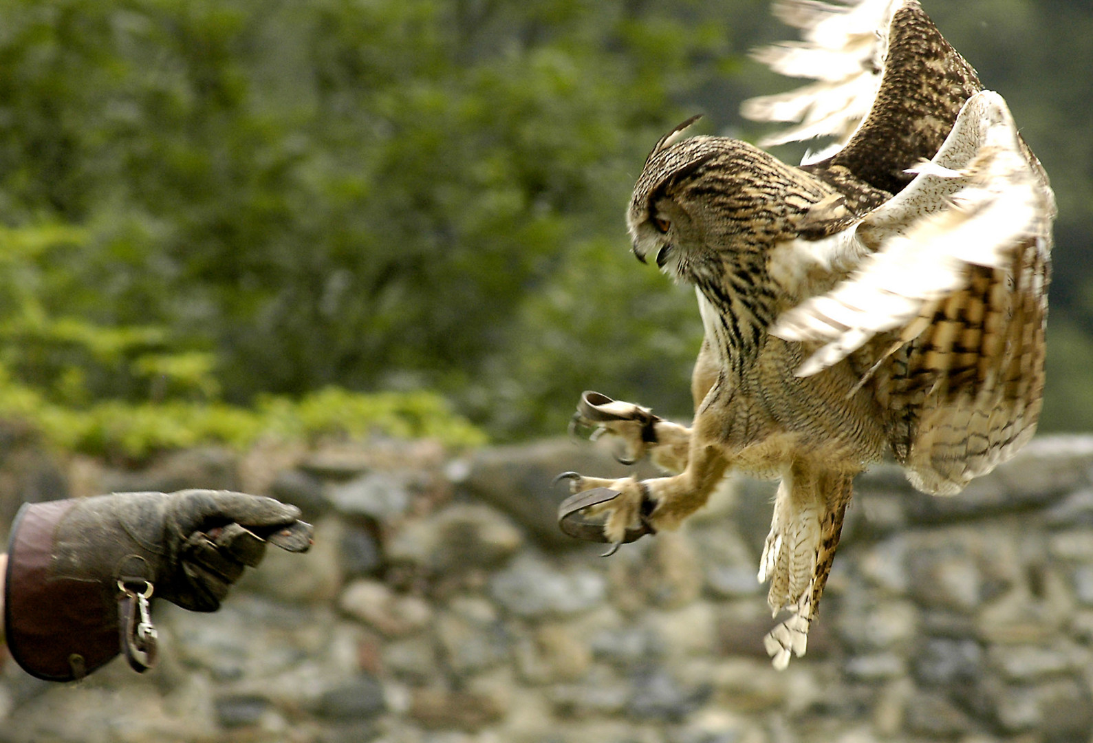 donjon des aigles 1