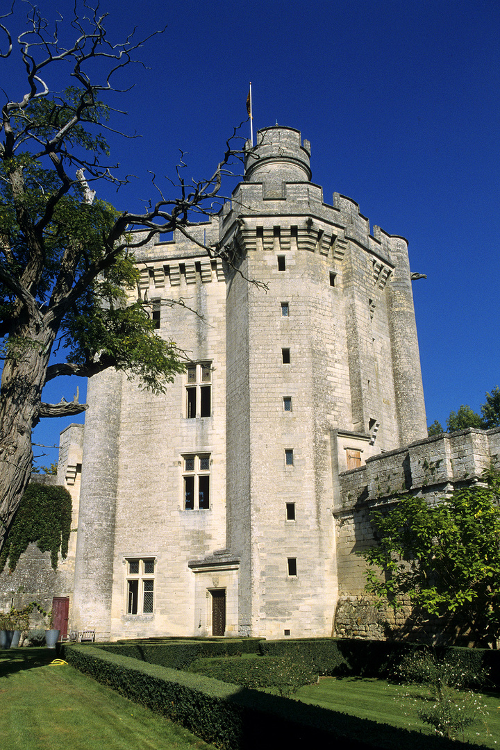 Donjon du château de Vez