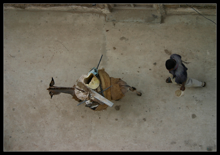 ... Donkey Town, Lamu, Kenya ...