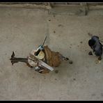 ... Donkey Town, Lamu, Kenya ...