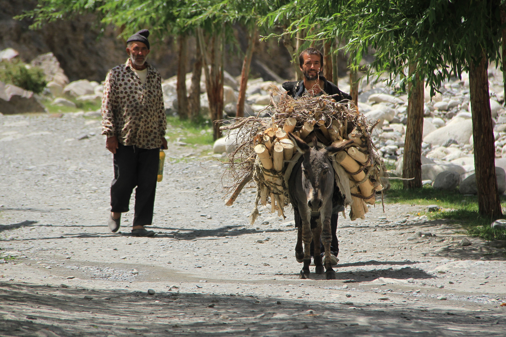 Donkeys of the Pamir VII