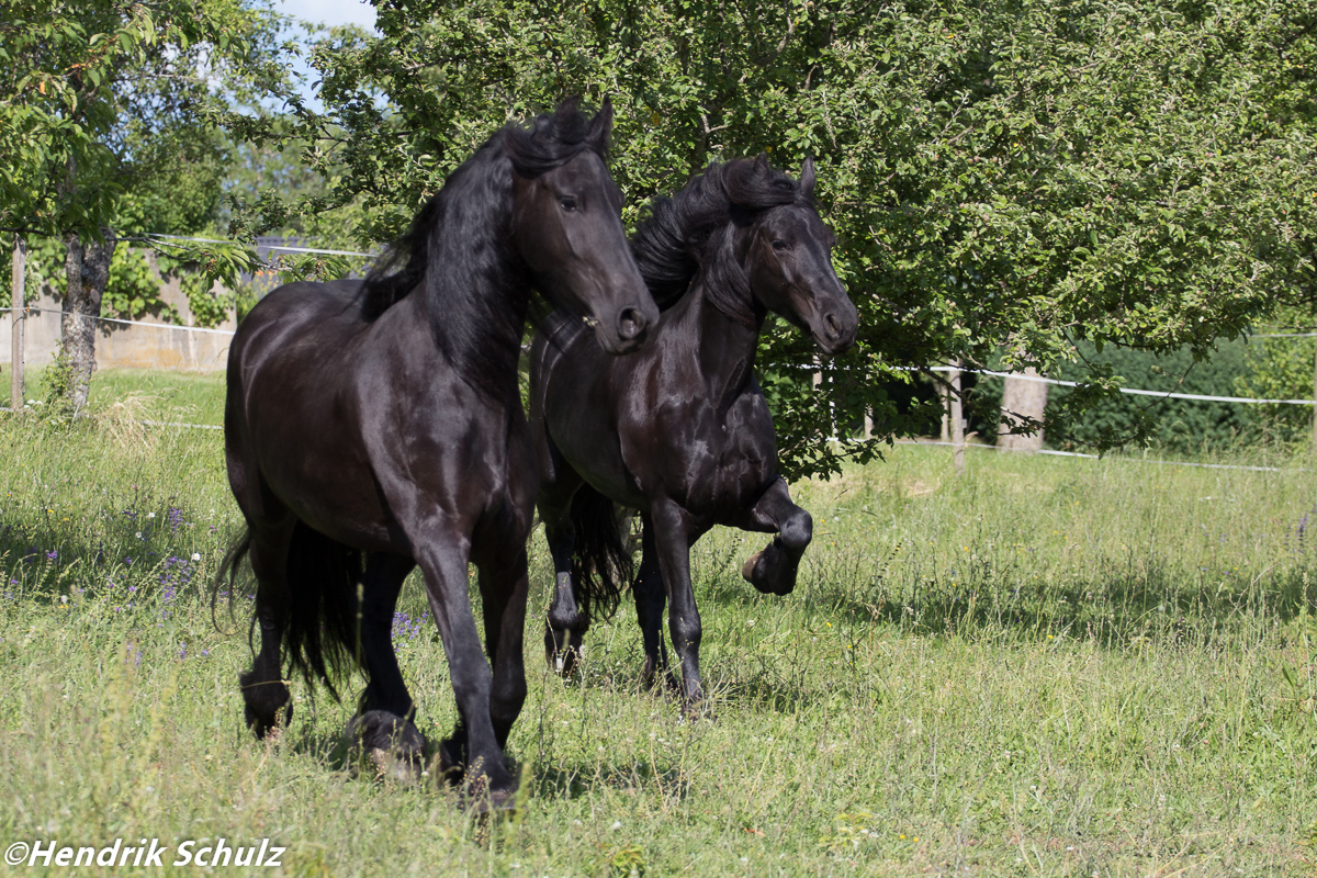 Donna und Ilka (2014)