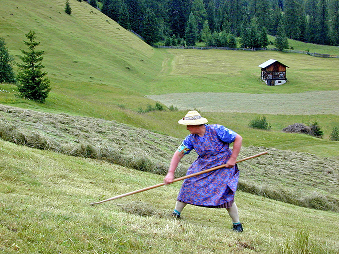 donne che lavorano