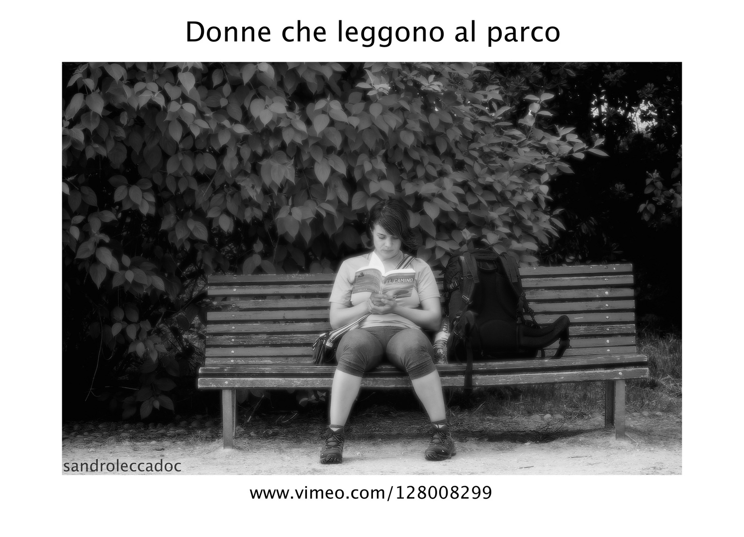 Donne che leggono al parco