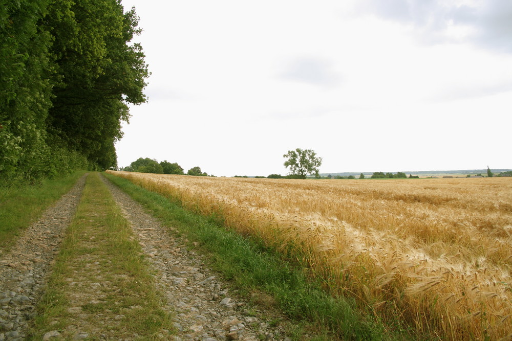 Donne moi la main, le chemin est long!