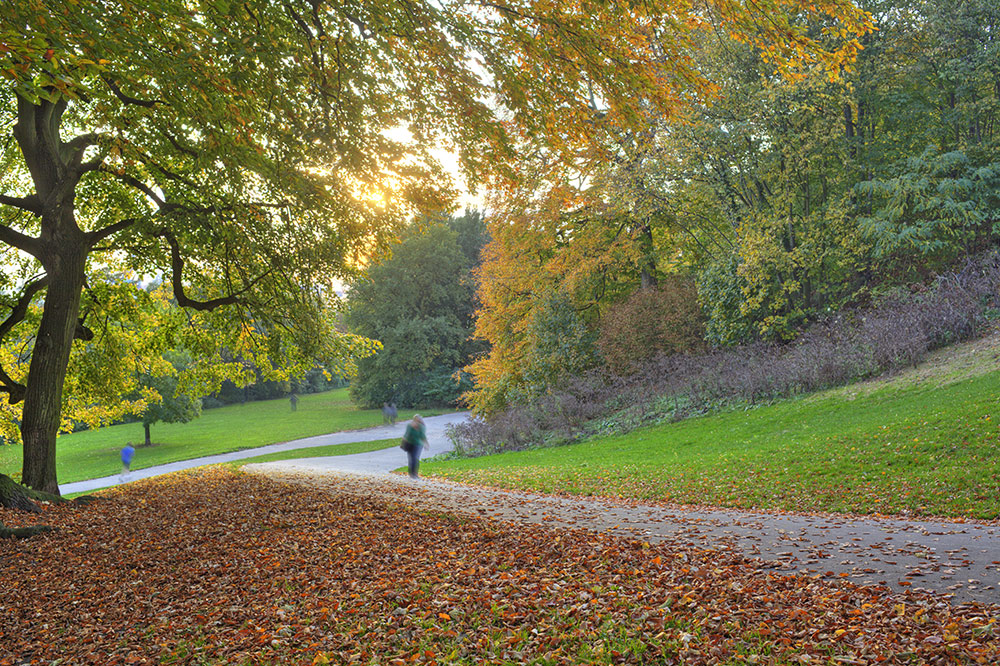 Donners Park Hamburg im Herbst