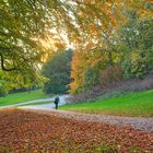 Donners Park Hamburg im Herbst