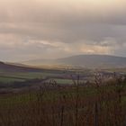 Donnersberg gesehen von Harxheim / Zell