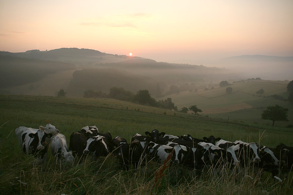 Donnersberg Kreis