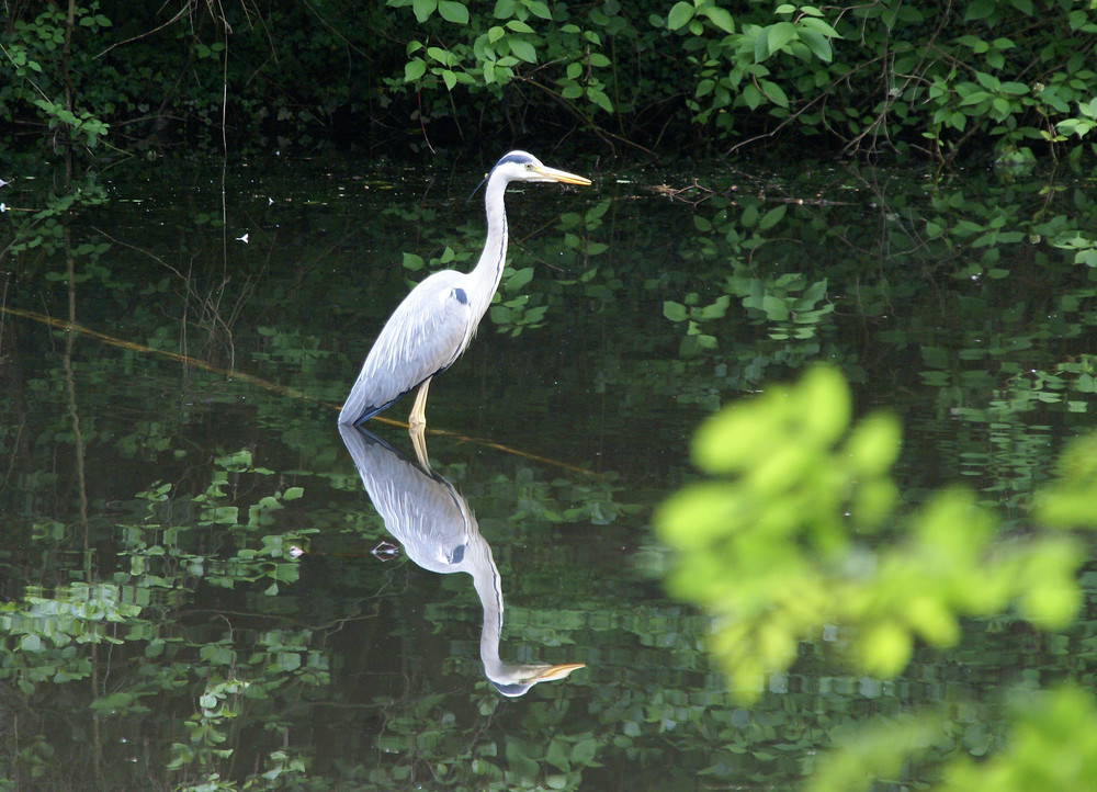 Donnerstag 22.05.2008