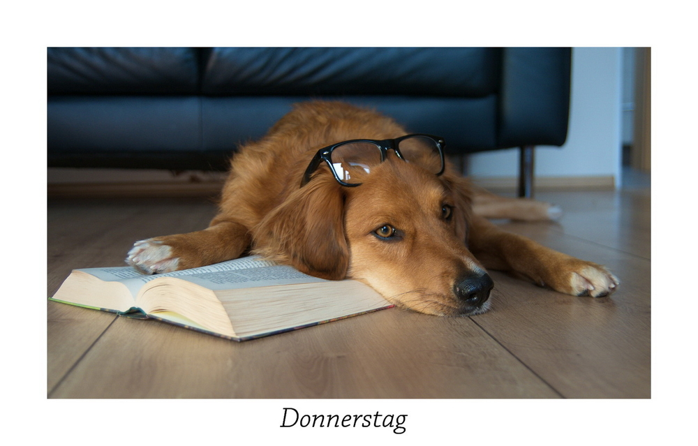 Donnerstag