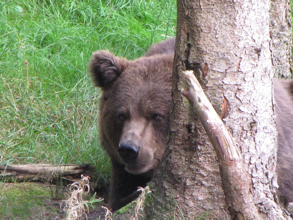 Donnerstag ist Durchblick