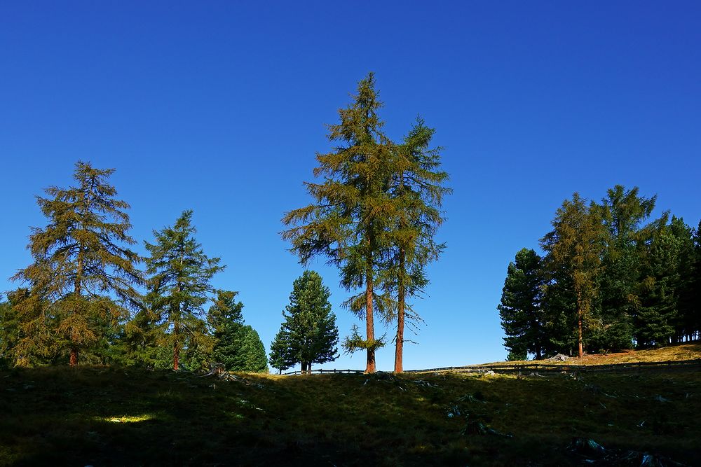 Donnerstag ist immer Bergtag