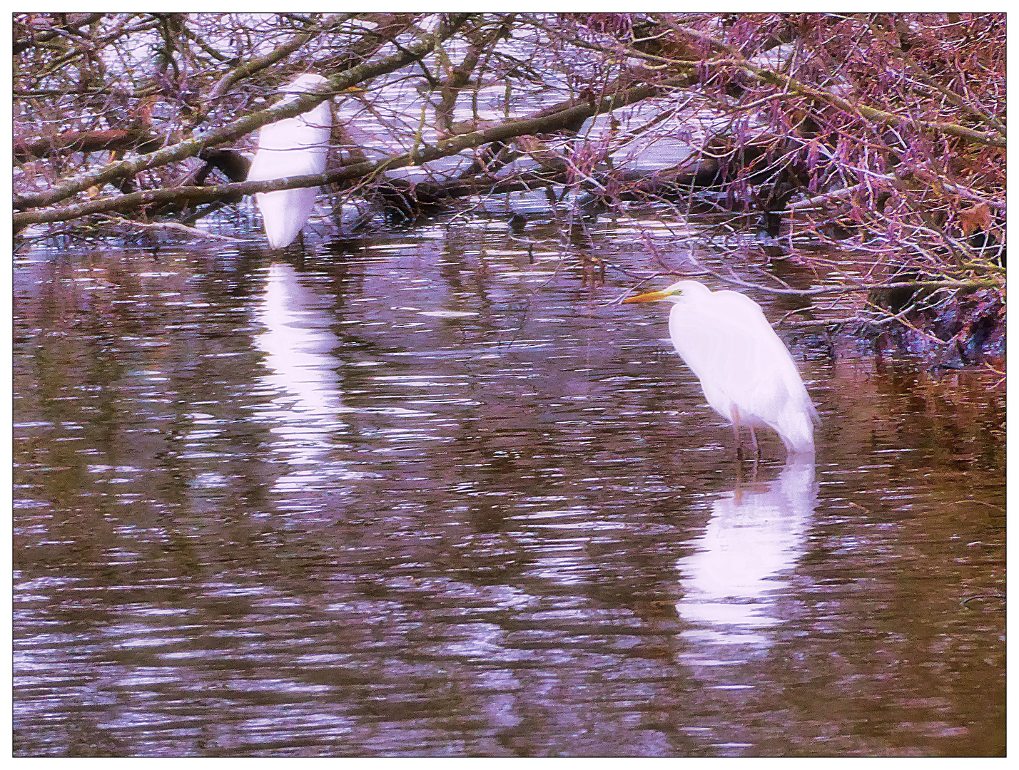 Donnerstag mit Durchblick 03.02.22