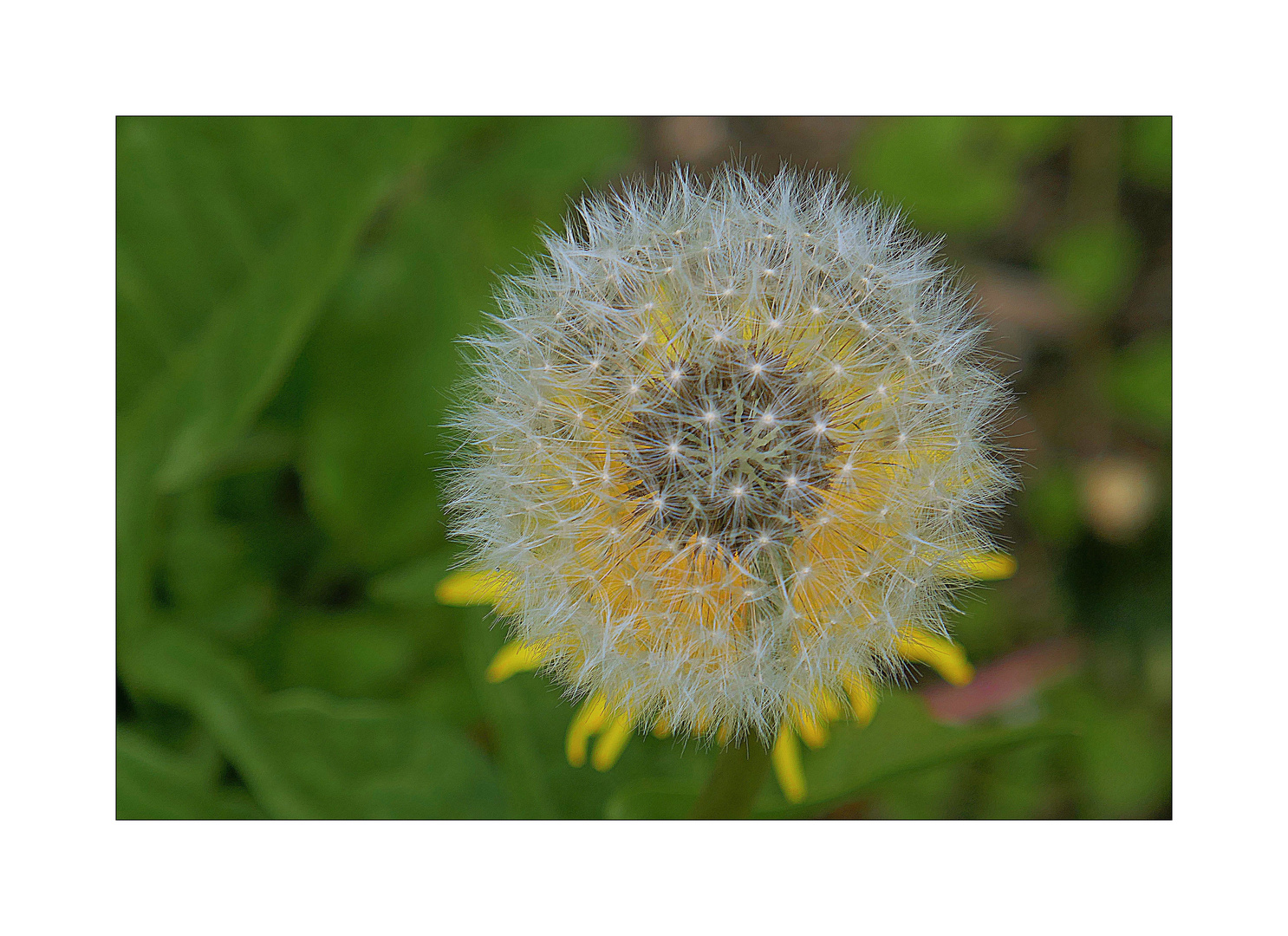 Donnerstag mit Durchblick 04.05.23