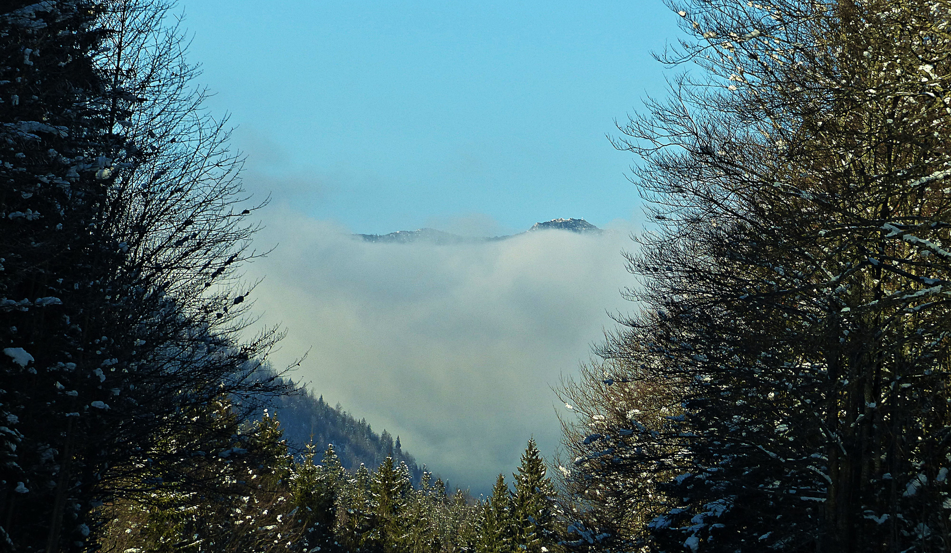 Donnerstag mit Durchblick