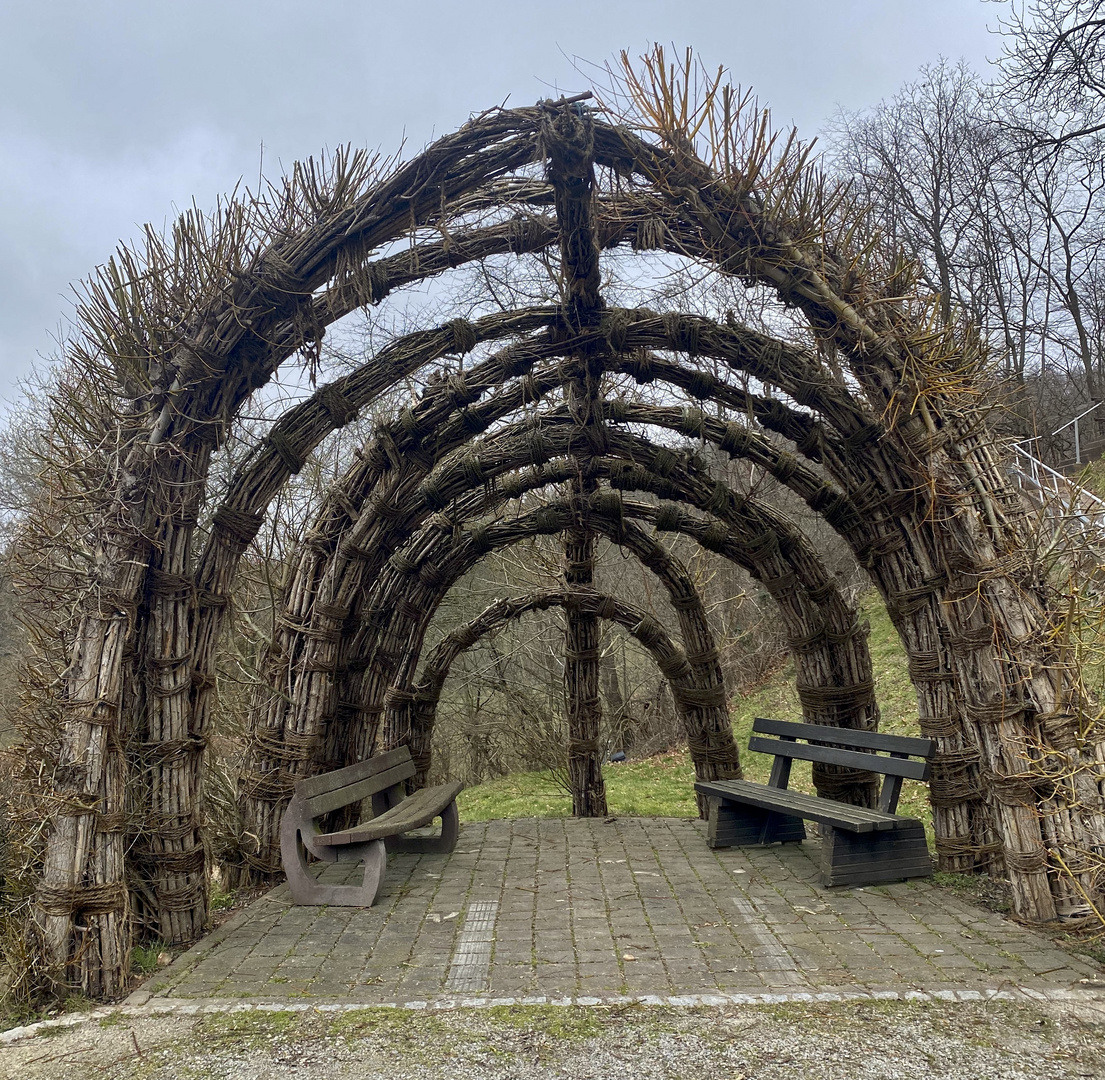 Donnerstag mit Durchblick 09.03.20.23  Weidenlaube 