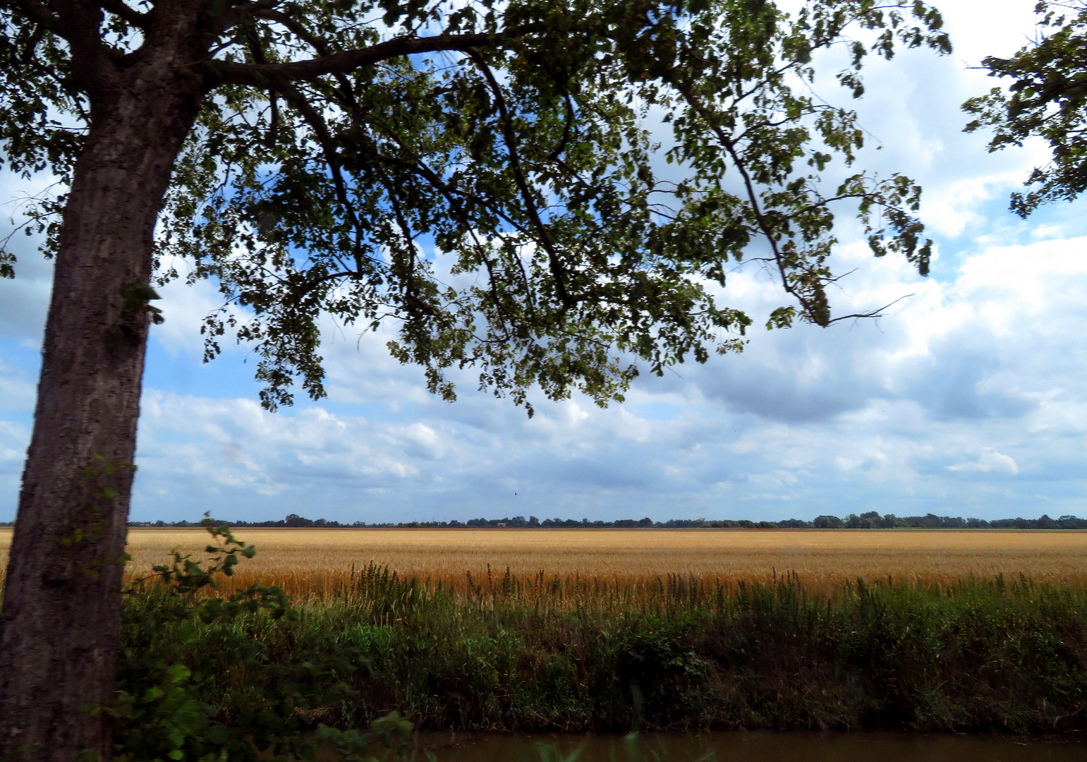 Donnerstag mit Durchblick