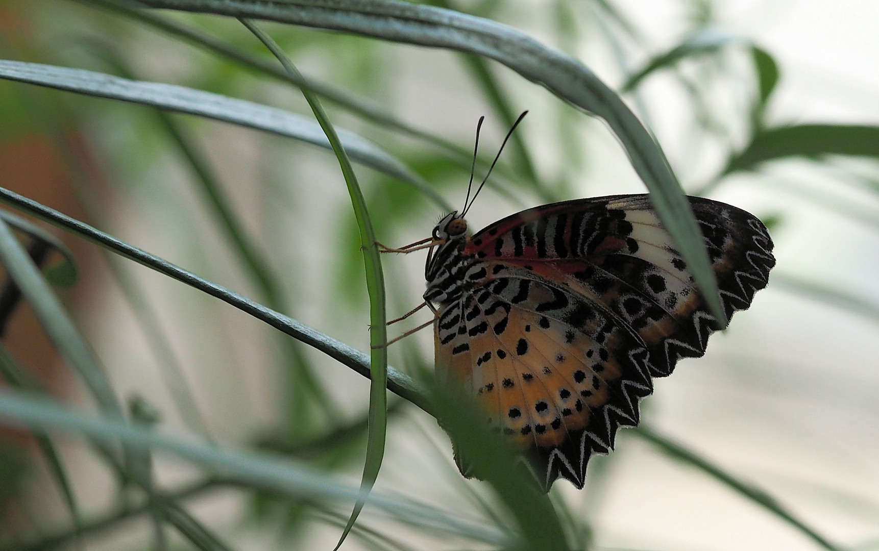 Donnerstag mit Durchblick…