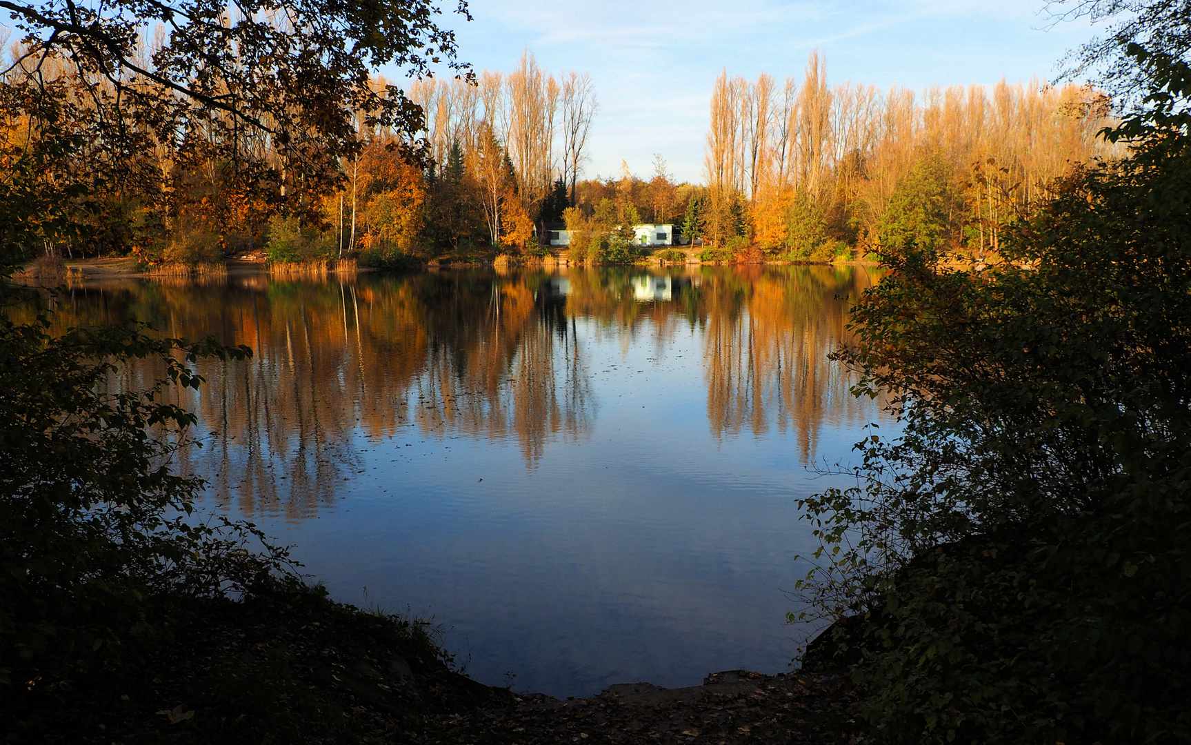 Donnerstag mit Durchblick…