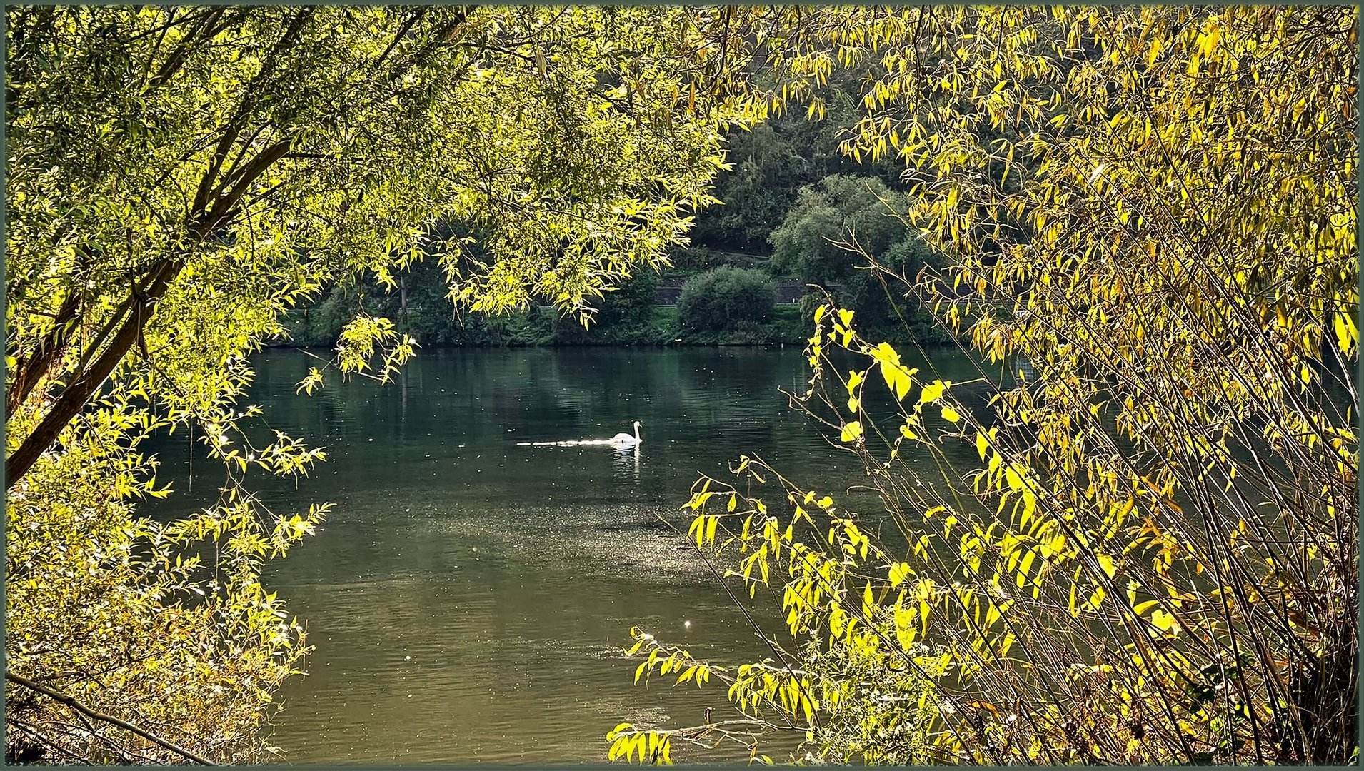 Donnerstag mit Durchblick / 14.10.2021