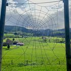 Donnerstag mit Durchblick 15.12.2022  Spiderman was here