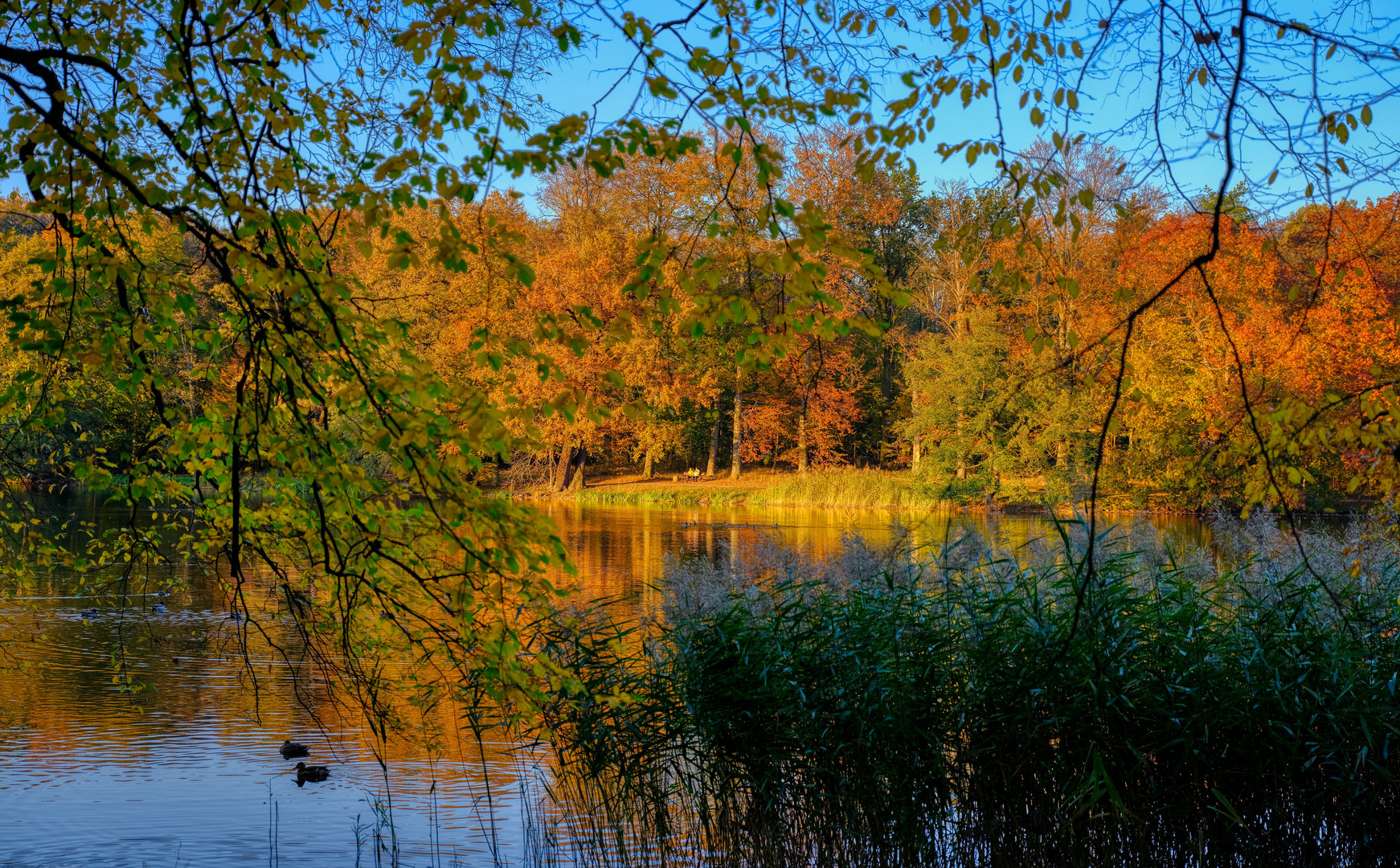 Donnerstag mit Durchblick: 2 + 2