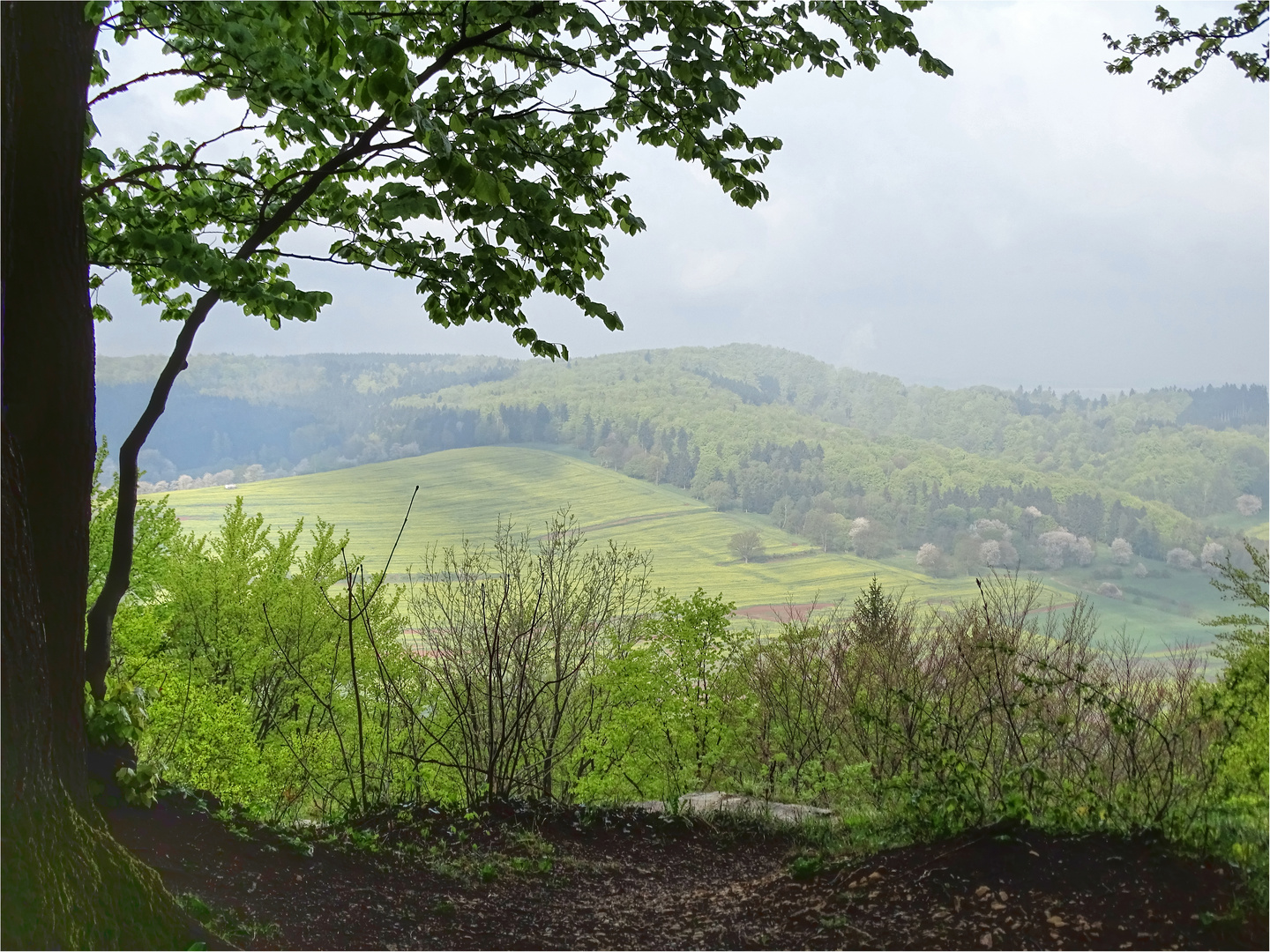 Donnerstag mit Durchblick