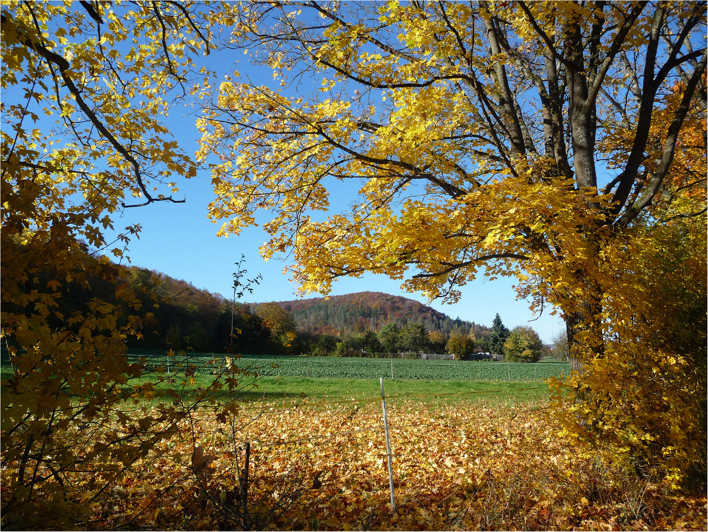 Donnerstag mit Durchblick 28.10.21