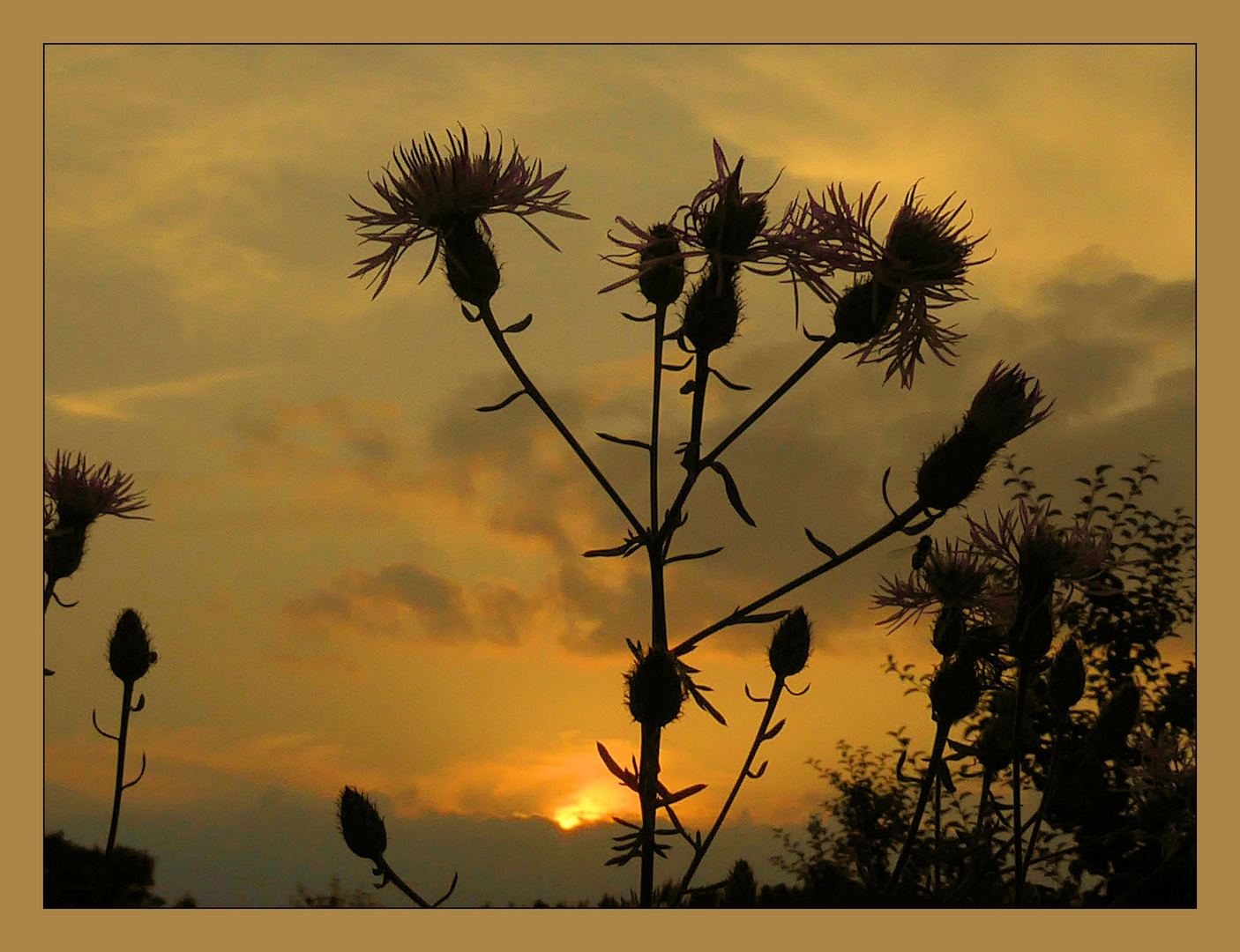 Donnerstag mit Durchblick 29.07.21