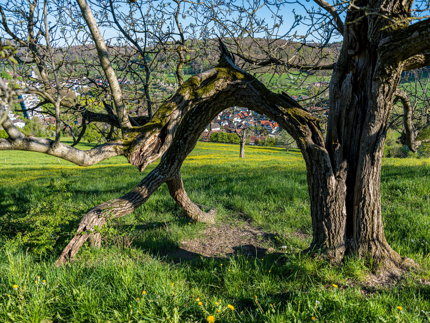 Donnerstag mit Durchblick