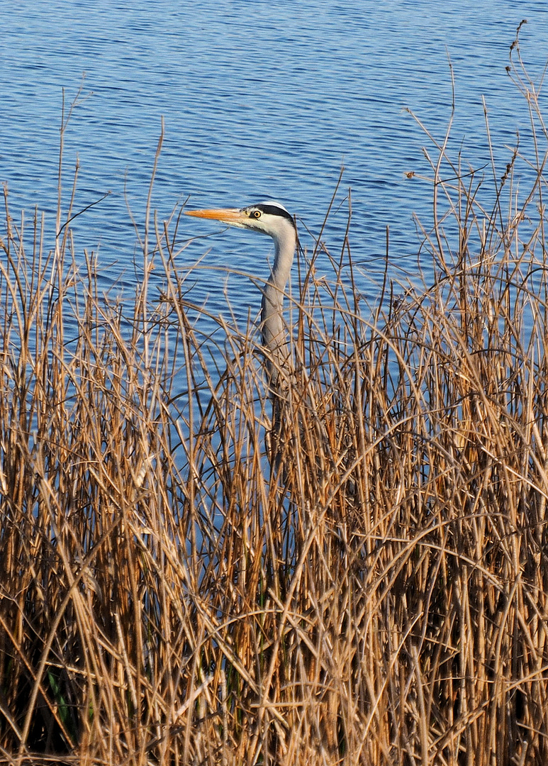 Donnerstag mit Durchblick…