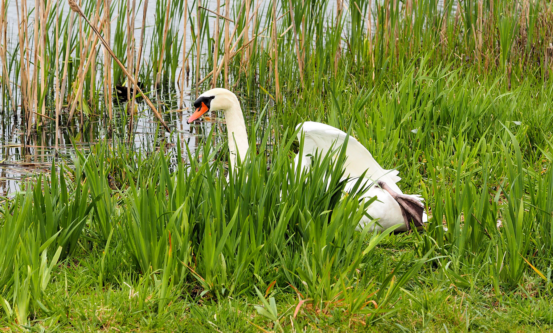 Donnerstag mit Durchblick….